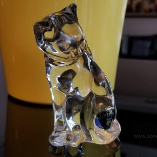 pisica cristal Bohemia3
