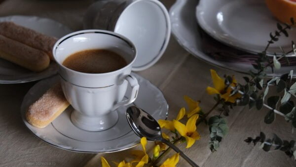 serviciu ceai sau cafea portelan