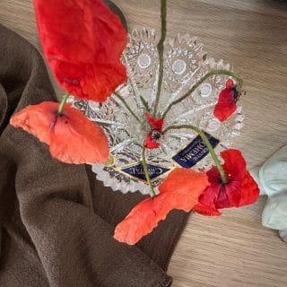 CRISTAL BOHEMIA VAZA 80080 57001 100.2.