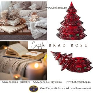 caseta brad rosie
