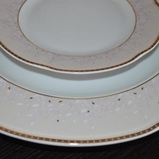 SET TORT PORTELAN BOLEROG720 JASMINE3