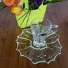 set cafea ceai bohemia cristalit plantica