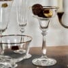 COCKTAIL PAHARE DIVERSE cristal bohemia
