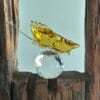 FLUTURAS GALBEN bohemia cristal