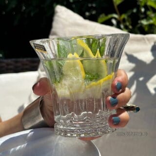 pahare cristal bohemia wellington3