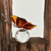 FLUTURAS CRISTAL cristal bohemia amber